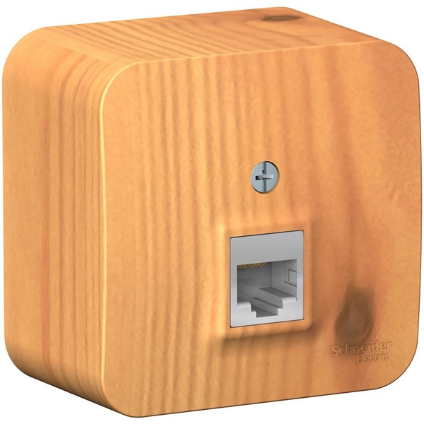 

Розетка Ethernet RJ-45 (ясень) Systeme Electric Blanca BLNIA045005, Blanca BLNIA045005