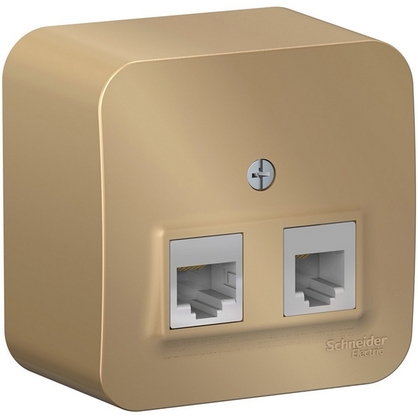 

Розетка телефонная RJ-11 + Ethernet RJ-45 (титан) Systeme Electric Blanca BLNIA045114, Blanca BLNIA045114