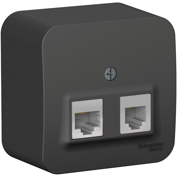 

Розетка телефонная RJ-11 + Ethernet RJ-45 (антрацит) Systeme Electric Blanca BLNIA045116, Серый, Blanca BLNIA045116