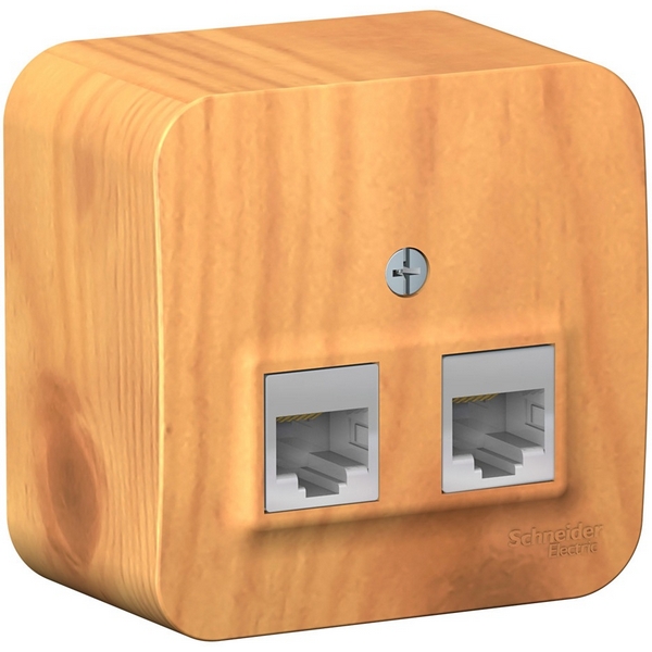 

Розетка двойная Ethernet RJ-45 (ясень) Systeme Electric Blanca BLNIA045455, Blanca BLNIA045455
