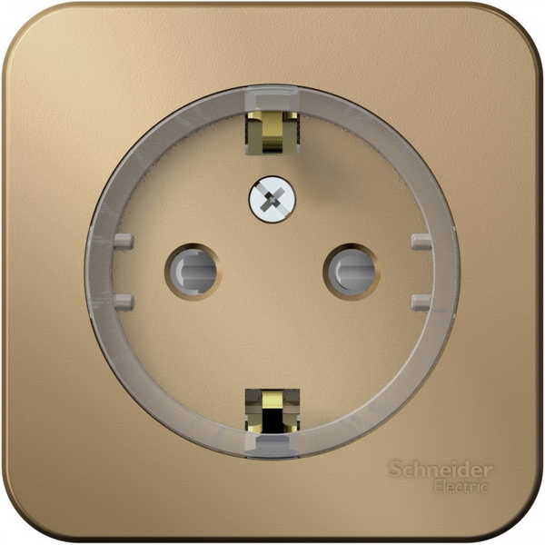 

Розетка накладная с заземлением и шторками (титан) Systeme Electric Blanca BLNRA111114, Blanca BLNRA111114