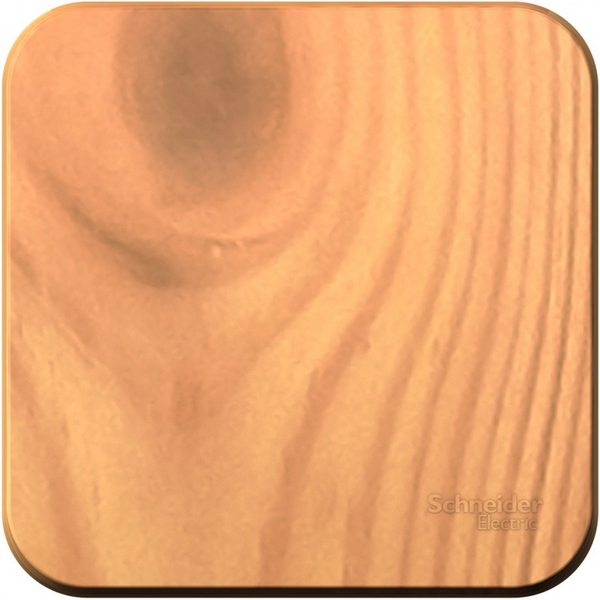 

Выключатель накладной одноклавишный (ясень) Systeme Electric Blanca BLNVA101005, Blanca BLNVA101005