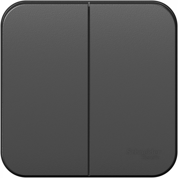 

Выключатель накладной двухклавишный (антрацит) Systeme Electric Blanca BLNVA105016, Серый, Blanca BLNVA105016