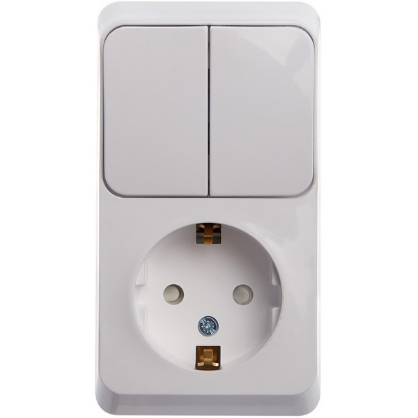 

Розетка с заземлением с двухклавишным выключателем (белый) Systeme Electric BPA16-202B, BPA16-202B
