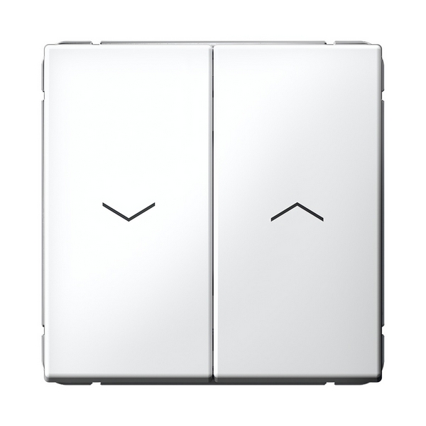 Изображение товара Выключатель жалюзи двухклавишный (белый) Systeme Electric GAL000119 Изображение товара Выключатель жалюзи двухклавишный (белый) Systeme Electric GAL000119