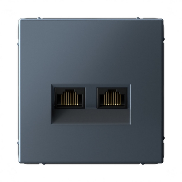 Розетка Ethernet RJ-45 двойная (грифель) Systeme Electric GAL000788