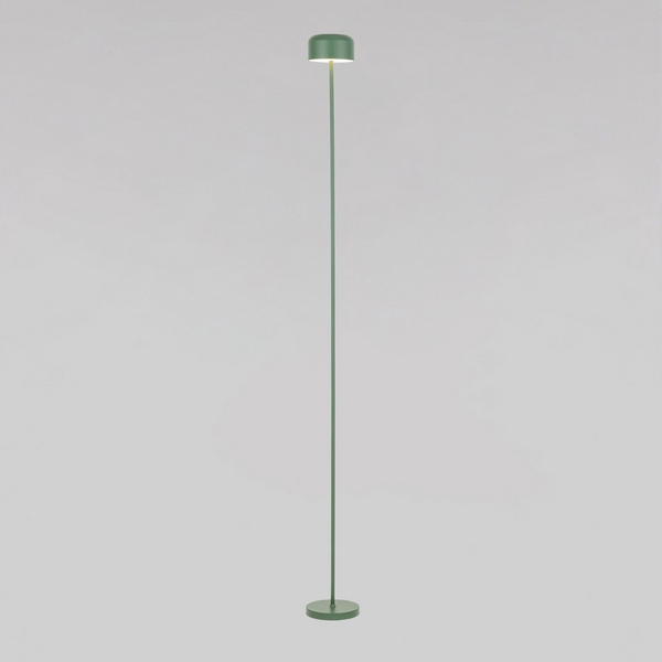 Торшер зеленый TK Lighting Noa 19007
