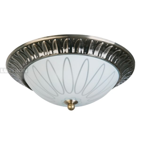 

Потолочный светильник TopLight Paulina TL5050Y-02AB, Белый, Paulina TL5050Y-02AB