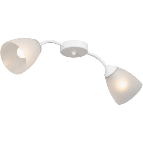 Изображение товара Потолочная люстра Vitaluce V3750/2PL в стиле модерн с двумя плафонами