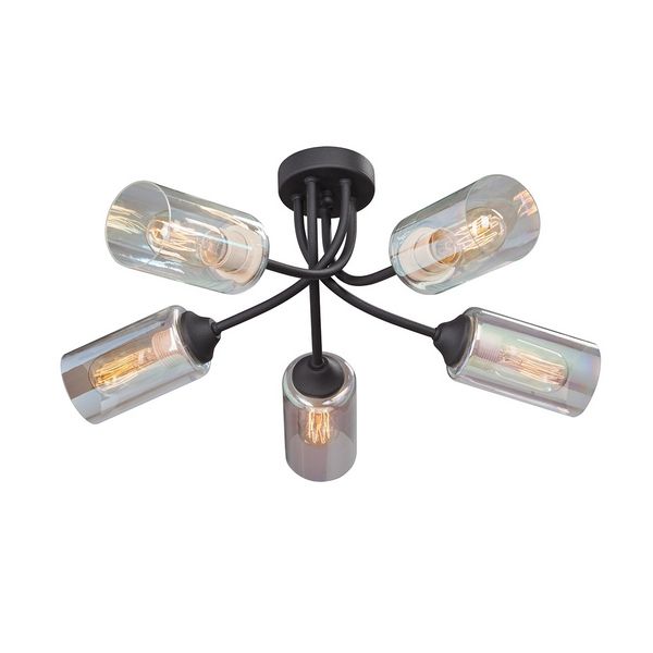 

Потолочная люстра V4726-1/5PL (Vitaluce), Прозрачный, V4726-1/5PL