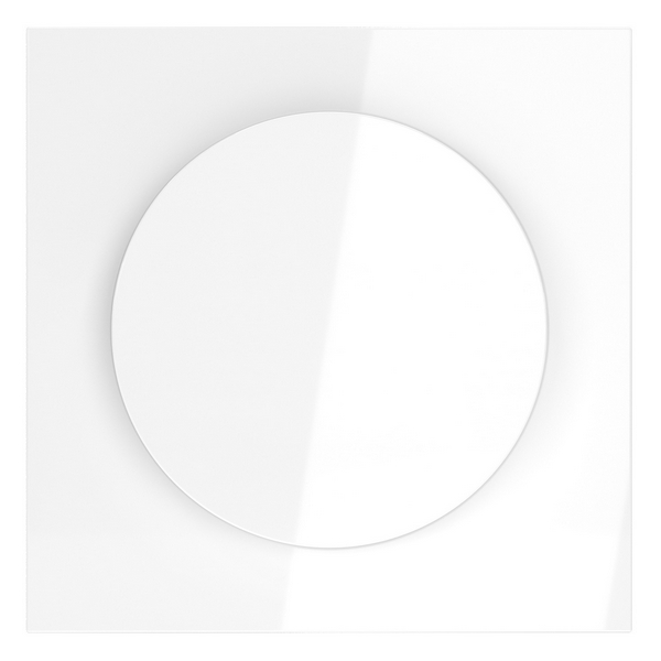 

Накладка для светорегулятора поворотно-нажимного Voltum S70 VLS002001 (белый глянцевый), S70 VLS002001