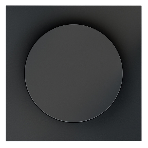 

Накладка для светорегулятора поворотно-нажимного Voltum S70 VLS002007 (графит), S70 VLS002007