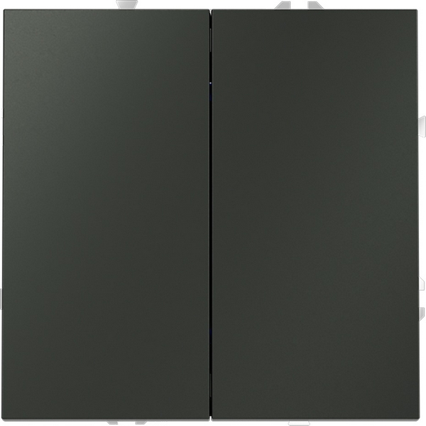 

Выключатель с самовозвратом двухклавишный (титан) Voltum S70 VLS020606, Серый, S70 VLS020606