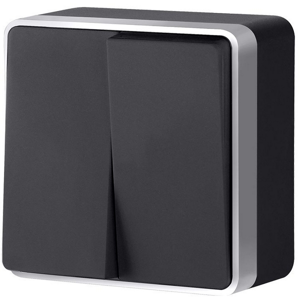 

Выключатель двухклавишный Gallant Werkel W5020034 (черный с серебром), Черный;серебро, Накладные механизмы Gallant черный с серебром W5020034