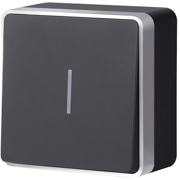 

Выключатель одноклавишный с подсветкой Gallant Werkel W5010134 (черный с серебром), Черный;серебро, Накладные механизмы Gallant черный с серебром W5010134