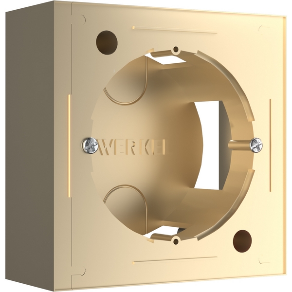 

Коробка для накладного монтажа (шампань) Werkel W8000011 (a053529), W8000011
