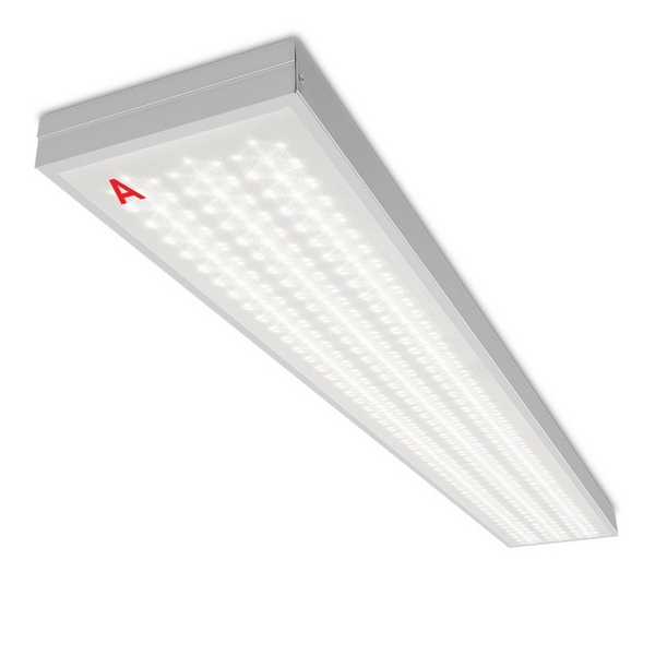 

Светодиодная панель Wolta Лайнер ДПО01-54-142-5К с БАП EM1 54Вт 5000К IP40 микропризма, Белый, Лайнер ДПО01-54-142-5К