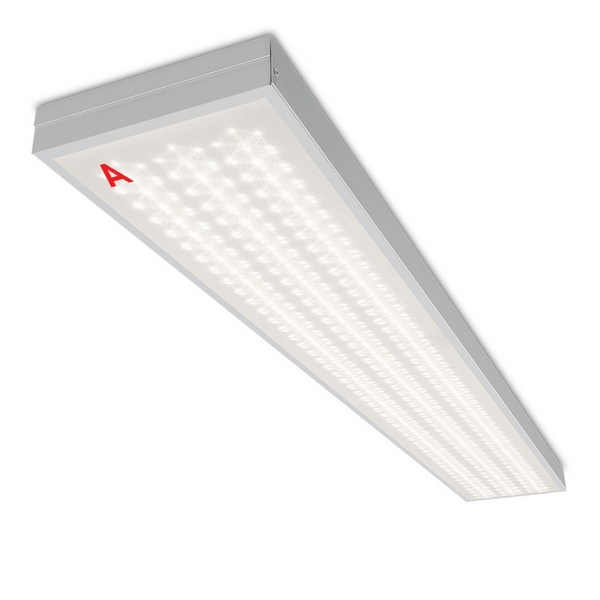 

Светодиодная панель Wolta STD ДПО11-54-142-4К с БАП EM1 54Вт 4000К IP40 микропризма, Белый, STD ДПО11-54-142-4К